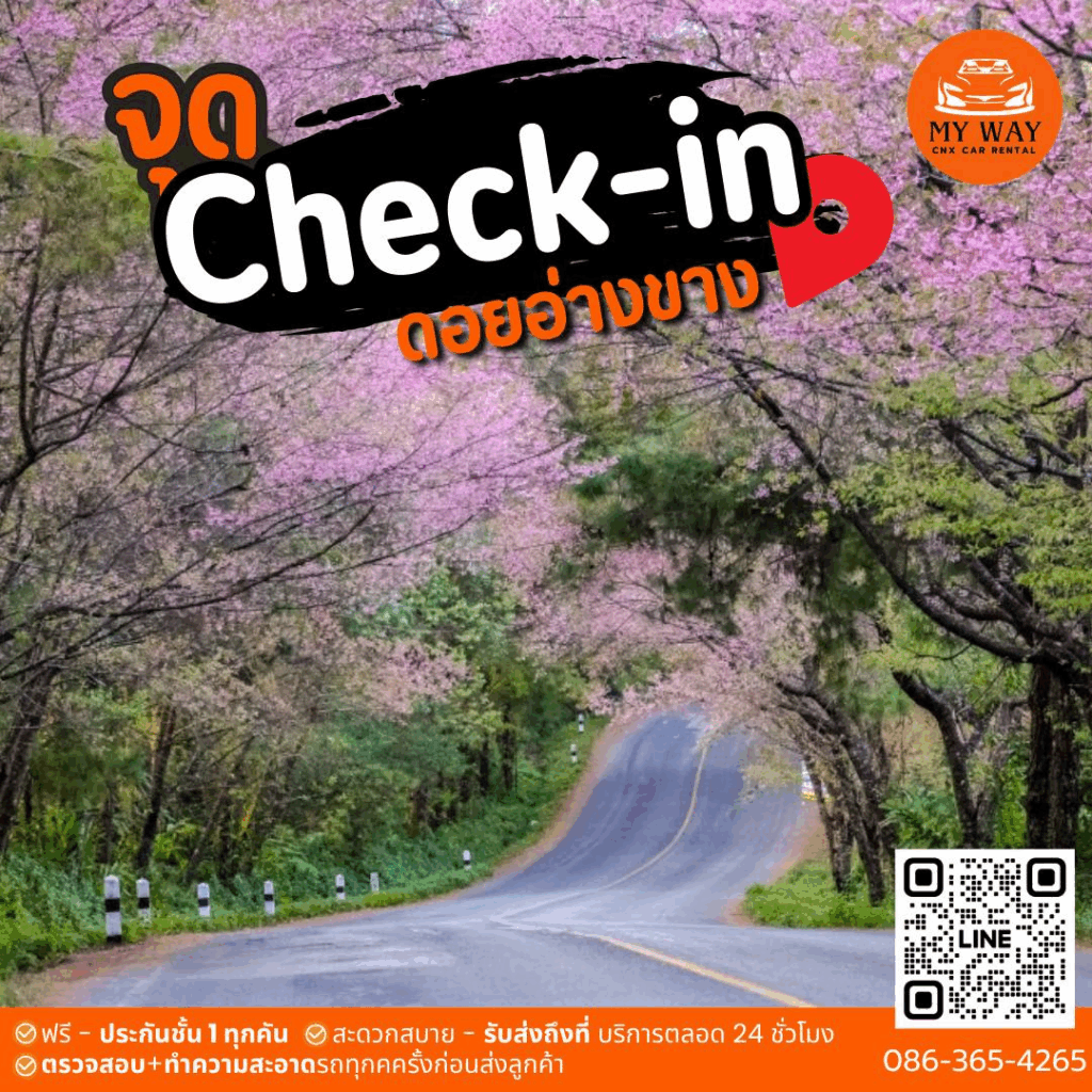 ดอยอ่างขาง — เสน่ห์แห่งขุนเขาและฤดูหนาวที่ไม่เคยเลือน